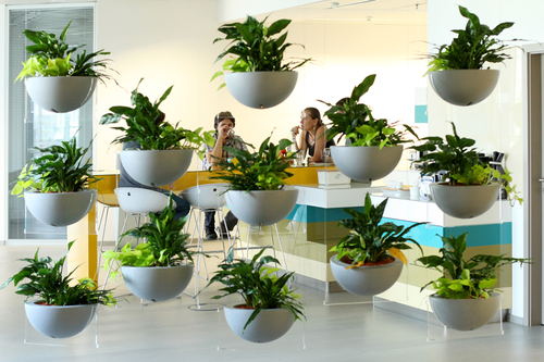 Фото офиса компании «JetBrains»