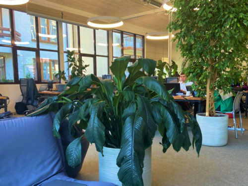 Фото офиса компании «Совкомбанк Технологии»