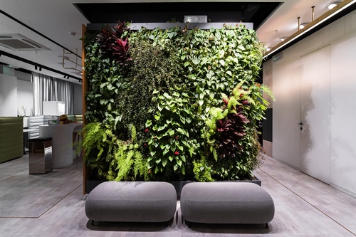 Фото офиса компании «VK»